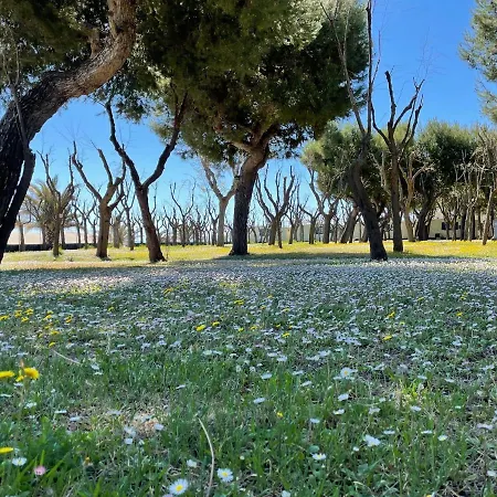 Lovely In With Garden Cupra Marittima
